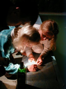 OLYMPUS DIGITAL CAMERA